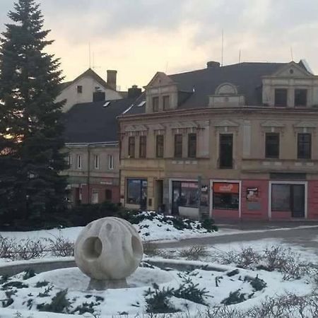 Apartmány Litvínov centrum Esterno foto