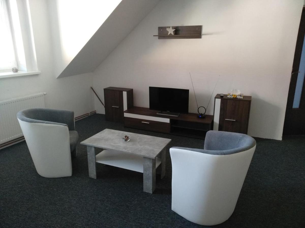 Apartmány Litvínov centrum Esterno foto